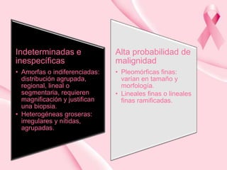 Indeterminadas e
inespecíficas

Alta probabilidad de
malignidad

• Amorfas o indiferenciadas:
distribución agrupada,
regional, lineal o
segmentaria, requieren
magnificación y justifican
una biopsia.
• Heterogéneas groseras:
irregulares y nítidas,
agrupadas.

• Pleomórficas finas:
varían en tamaño y
morfología.
• Lineales finas o lineales
finas ramificadas.

 