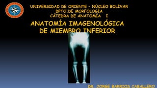 UNIVERSIDAD DE ORIENTE – NÚCLEO BOLÍVAR
          DPTO.DE MORFOLOGÍA
        CÁTEDRA DE ANATOMÍA I

ANATOMÍA IMAGENOLÓGICA
  DE MIEMBRO INFERIOR




                       DR. JORGE BARRIOS CABALLERO
 