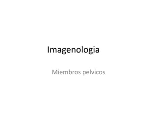 Imagenologia

 Miembros pelvicos
 