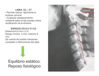 LINEA C2 – C7
• Permite valorar fácilmente la
lordosis cervical.
• Cualquier desplazamiento
vertebral sobre el eje trazado indica
rectificación de la lordosis.
ESPACIO CO-C1/ C1-C2
Distancia 6,5 mm ± 2,5
Rango mínimo 4 mm; máximo 9
mm.
Da cuenta de posible rotaciones
craneales o disfunciones del atlas.
Equilibrio estático.
Reposo fisiológico.
6,5mm
6,5mm
 