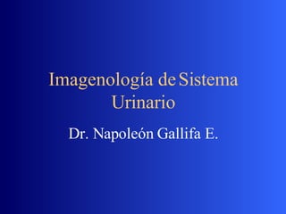 Imagenología de Sistema Urinario Dr. Napoleón Gallifa E. 