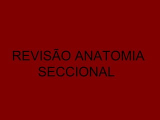 REVISÃO ANATOMIA
   SECCIONAL
 