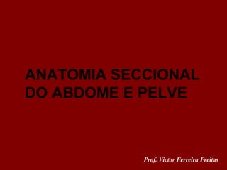 ANATOMIA SECCIONAL
DO ABDOME E PELVE



            Prof. Victor Ferreira Freitas
 
