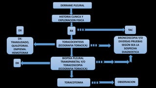 DERRAME PLEURAL
HISTORIA CLINICA Y
EXPLORACION FISICA
RXDX
TORACOCENTESIS
(ECOGRAFIA TORACICA)
BIOPSIA PLEURAL
TRANSPARIETAL Y/O
TORACOSCOPIA
(ECOGRAFIA TORACICA)
TORACOTOMIA OBSERVACION
DX:
TRANSUDADO,
QUILOTORAX.
EMPIEMA.
HEMOTORAX
BRONCOSCOPIA Y/O
DIVERSAS PRUEBAS
SEGÚN SEA LA
SOSPECHA
DIAGNOSTICA
TAC
DX
 