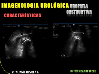 CARACTERÍSTICAS IMAGENOLOGIA UROLÓGICA 