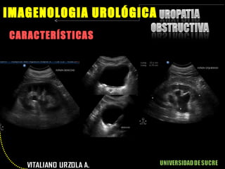CARACTERÍSTICAS IMAGENOLOGIA UROLÓGICA 