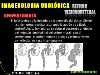 GENERALIDADES IMAGENOLOGIA UROLÓGICA El RVU se debe a la inmadurez  o anomalia del desarrollo de la unión ureterovesical alterando la acción de válvula antirreflujo. La inmadurez  se debe al desarrollo anómalo del músculo longitudinal del uréter mural,  con el crecimiento,  el uréter mural se elonga y el mecanismo de  válvula,  se hace incompetente 