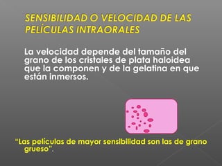 La velocidad depende del tamaño del
grano de los cristales de plata haloidea
que la componen y de la gelatina en que
están inmersos.
“Las películas de mayor sensibilidad son las de grano
grueso”.
 