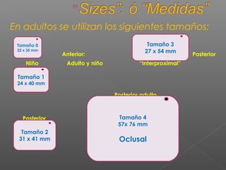 En adultos se utilizan los siguientes tamaños:
Anterior: Posterior
Niño Adulto y niño “Interproximal”
Posterior adulto
Posterior
Tamaño 1
24 x 40 mm
Tamaño 2
31 x 41 mm
Tamaño 3
27 x 54 mm
Tamaño 0
22 x 35 mm
Tamaño 4
57x 76 mm
Oclusal
 