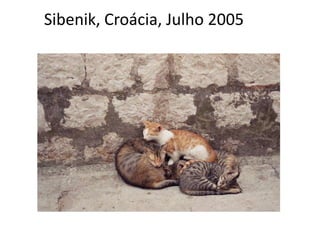 Sibenik, Croácia, Julho 2005 