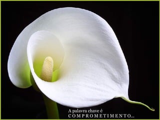 A palavra chave é  C O M P R O M E T I M E N T O... 