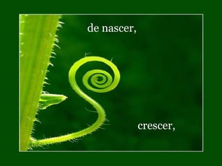 de nascer,  crescer, 