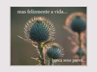 mas felizmente a vida... busca seus pares... 
