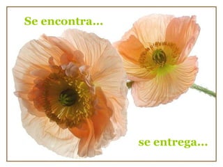 Se encontra... se entrega... 