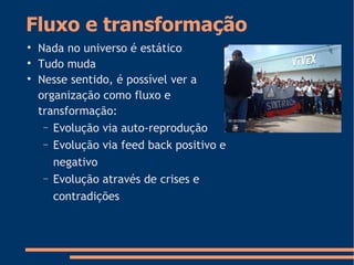 Fluxo e transformação

Nada no universo é estático

Tudo muda

Nesse sentido, é possível ver a
organização como fluxo e
transformação:
− Evolução via auto-reprodução
− Evolução via feed back positivo e
negativo
− Evolução através de crises e
contradições
 