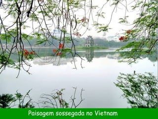 Paisagem sossegada no Vietnam 