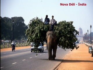 Nova Déli - Índia 