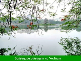 Sossegada paisagem no Vietnam 