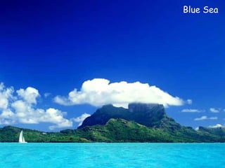 Blue Sea  