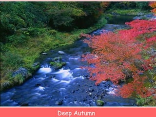 Deep Autumn 