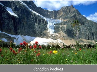 Canadian Rockies  