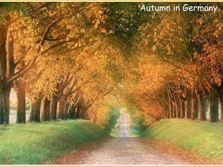 Autumn in Germany 