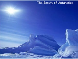 The Beauty of Antarctica  