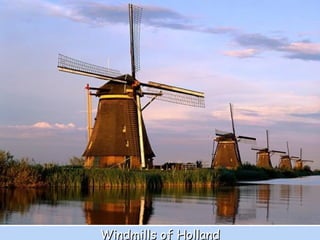 Windmills of Holland 