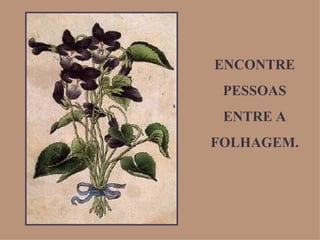 ENCONTRE PESSOAS ENTRE A FOLHAGEM. 