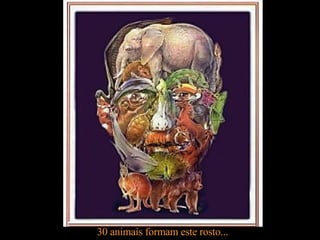 30 animais formam este rosto... 