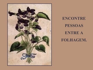 ENCONTRE PESSOAS ENTRE A FOLHAGEM. 