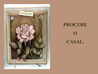 PROCURE O CASAL. 