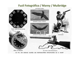 Fuzil Fotográfico / Marey / Muibridge
 