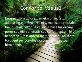 Conforto Visual
Lorem ipsum dolor sit amet, consectetur
adipiscing elit. Sed arcu nisi, malesuada sodales
tincidunt id, tristique vel est. Phasellus ornare
purus sed nisi venenatis sed condimentum elit
hendrerit. Class aptent taciti sociosqu ad litora
torquent per conubia nostra, per inceptos
himenaeos.
 
