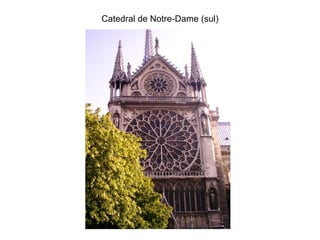 Catedral de Notre-Dame (sul) 