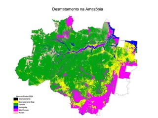 Desmatamento na Amazônia  