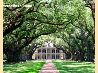 Verão na Lousiana 