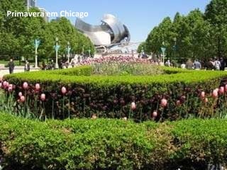 Primavera em Chicago 