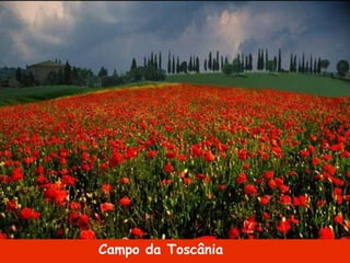 Campo da Toscânia
 