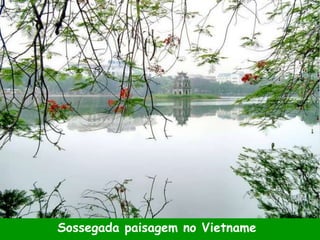 Sossegada paisagem no Vietname
 