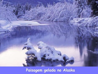 Paisagem gelada no Alaska
 