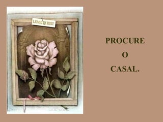 PROCURE O CASAL. 