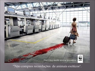 “ Não compres recordações  de animais exóticos". 