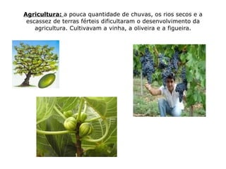 Agricultura: a pouca quantidade de chuvas, os rios secos e a
 escassez de terras férteis dificultaram o desenvolvimento da
    agricultura. Cultivavam a vinha, a oliveira e a figueira.
 