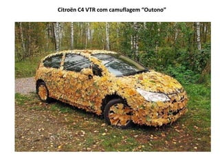 Citroën C4 VTR com camuflagem “Outono”
 