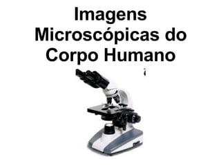 Imagens Microscópicas do Corpo Humano 