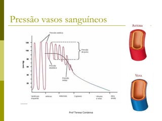 Pressão vasos sanguíneos 