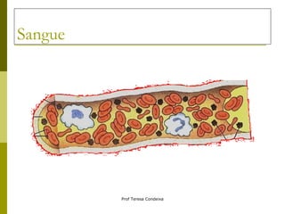 Sangue 