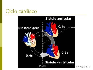 Ciclo cardíaco Prof. Raquel Cerca 