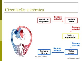 Circulação sistémica Ventrículo esquerdo Artéria aorta Todo o organismo Veias cavas Aurícula direita Prof. Raquel Cerca Sangue arterial Sangue arterial Sangue venoso Sangue venoso 
